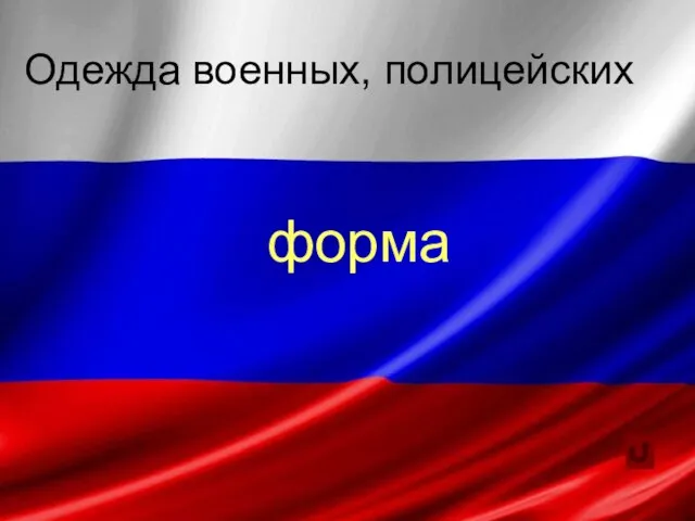 Одежда военных, полицейских форма