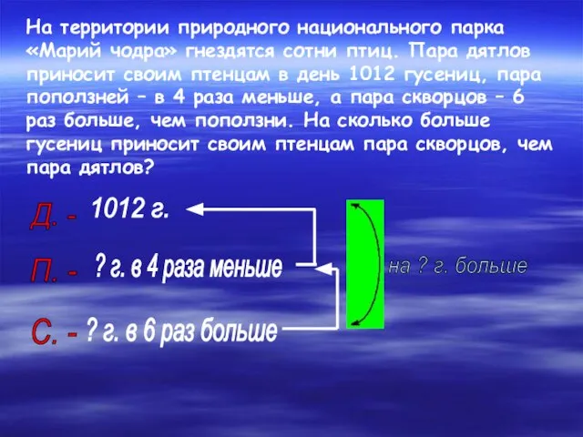 На территории природного национального парка «Марий чодра» гнездятся сотни птиц. Пара дятлов