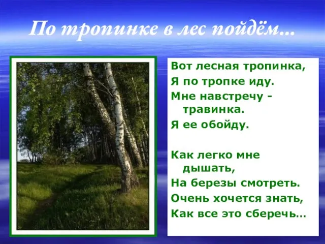 По тропинке в лес пойдём… Вот лесная тропинка, Я по тропке иду.