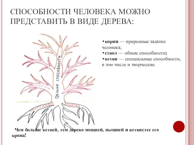 СПОСОБНОСТИ ЧЕЛОВЕКА МОЖНО ПРЕДСТАВИТЬ В ВИДЕ ДЕРЕВА: •корни — природные задатки человека;