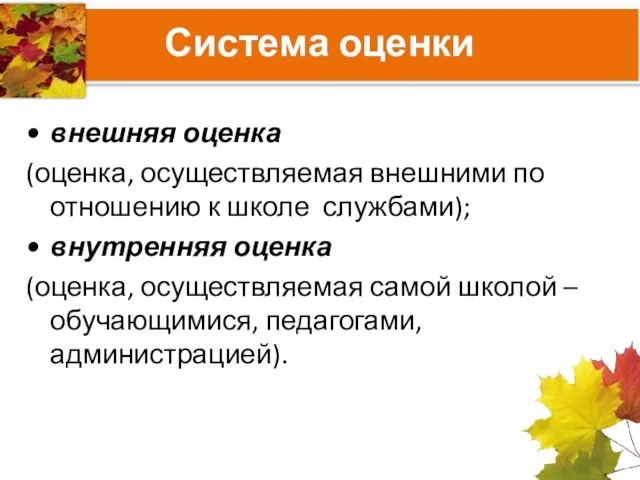 Система оценки внешняя оценка (оценка, осуществляемая внешними по отношению к школе службами);