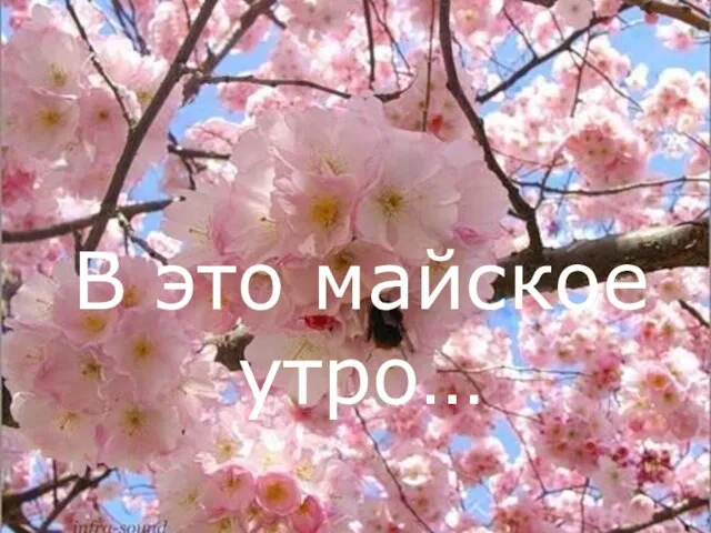 В это майское утро…