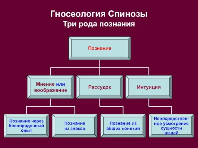 Гносеология Спинозы Три рода познания Познание Рассудок Мнение или воображение Познание через