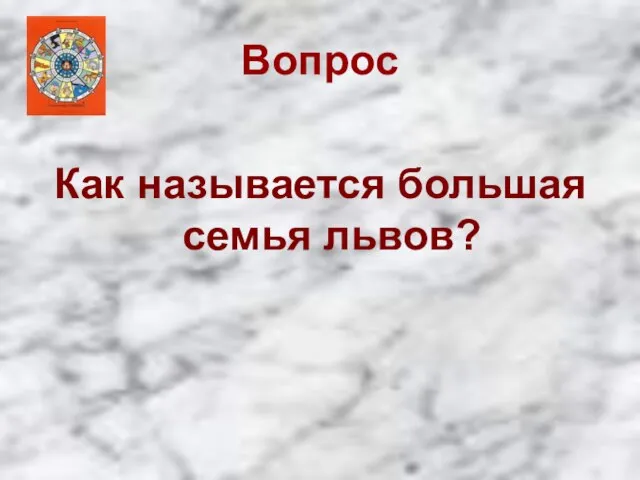 Вопрос Как называется большая семья львов?