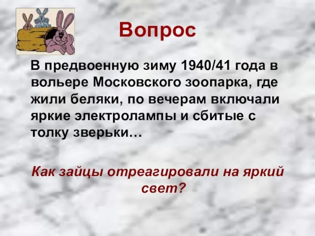 Вопрос В предвоенную зиму 1940/41 года в вольере Московского зоопарка, где жили