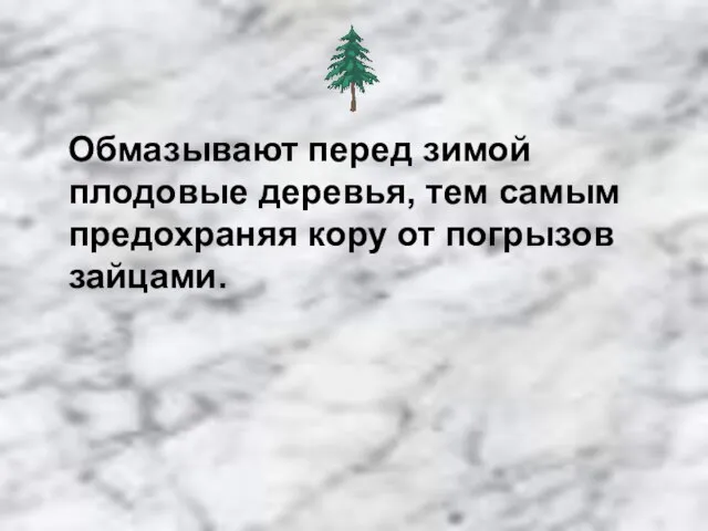 Обмазывают перед зимой плодовые деревья, тем самым предохраняя кору от погрызов зайцами.