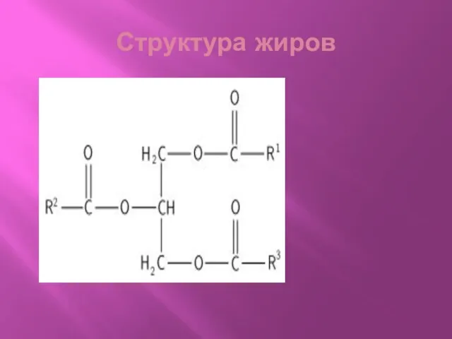 Структура жиров