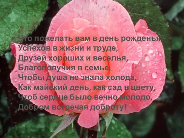 Что пожелать вам в день рожденья? Успехов в жизни и труде, Друзей