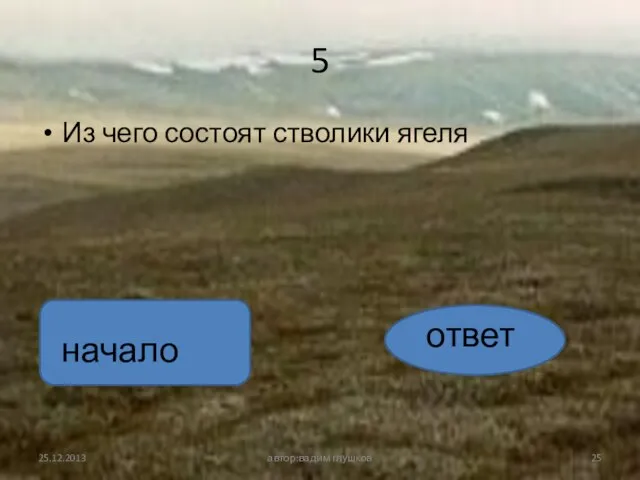 5 Из чего состоят стволики ягеля автор:вадим глушков ответ начало