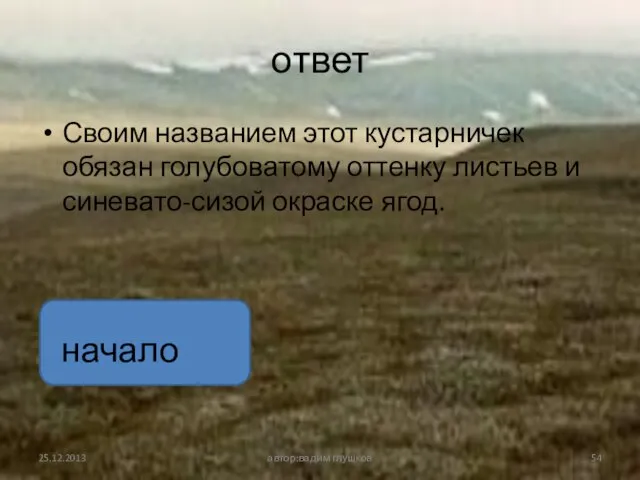 ответ Своим названием этот кустарничек обязан голубоватому оттенку листьев и синевато-сизой окраске ягод. автор:вадим глушков начало