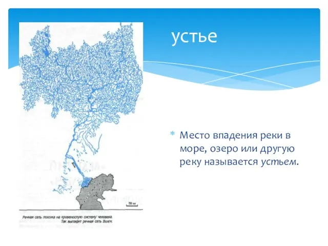 устье Место впадения реки в море, озеро или другую реку называется устьем.