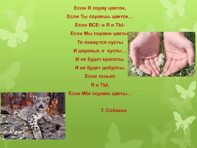 Если Я сорву цветок, Если Ты сорвешь цветок… Если ВСЕ: и Я