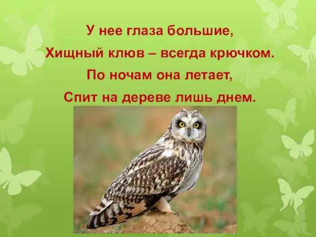 У нее глаза большие, Хищный клюв – всегда крючком. По ночам она