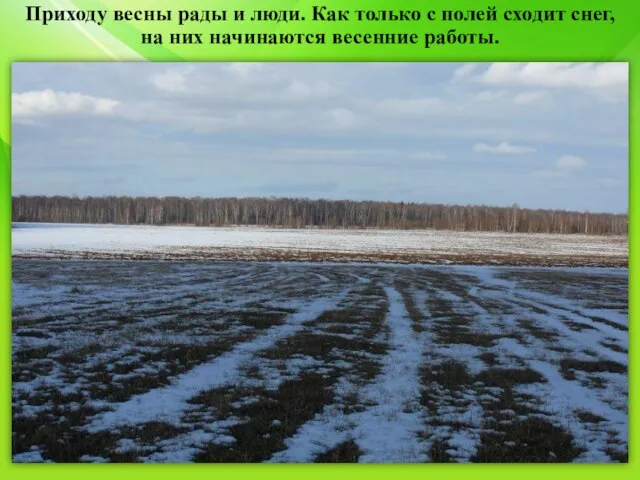 Приходу весны рады и люди. Как только с полей сходит снег, на них начинаются весенние работы.