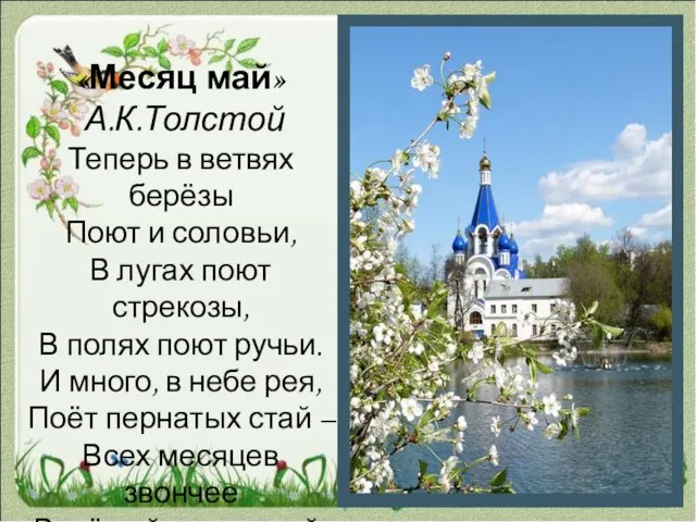 «Месяц май» А.К.Толстой Теперь в ветвях берёзы Поют и соловьи, В лугах