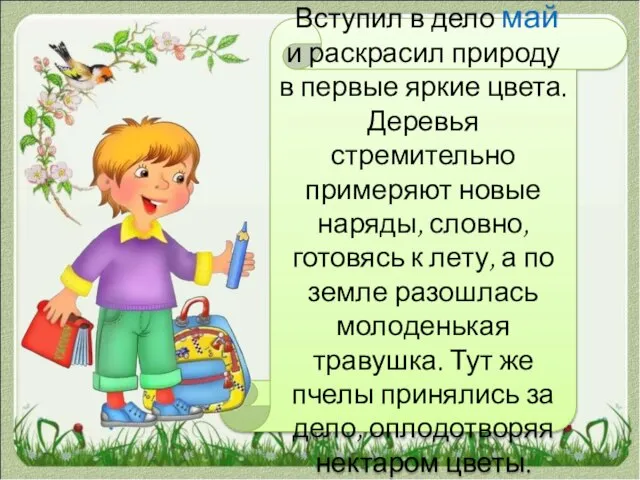 Вступил в дело май и раскрасил природу в первые яркие цвета. Деревья