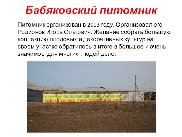 Бабяковский питомник Питомник организован в 2003 году. Организовал его Родионов Игорь Олегович.