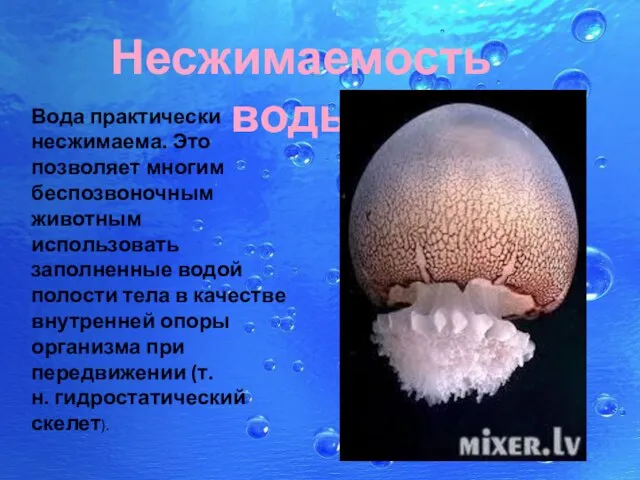 Вода практически несжимаема. Это позволяет многим беспозвоночным животным использовать заполненные водой полости