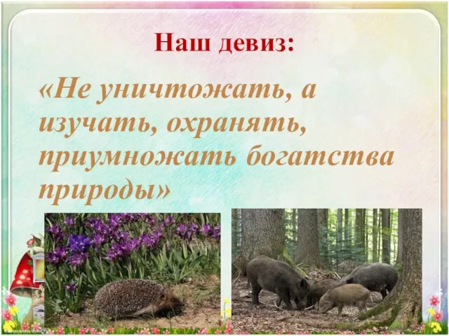 Наш девиз: «Не уничтожать, а изучать, охранять, приумножать богатства природы»