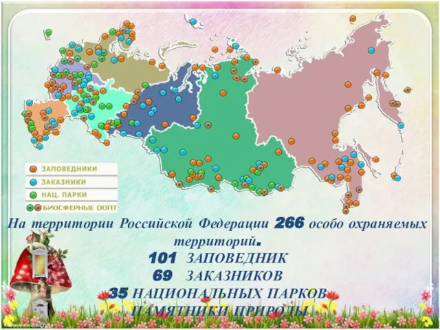 На территории Российской Федерации 266 особо охраняемых территорий. 101 ЗАПОВЕДНИК 69 ЗАКАЗНИКОВ