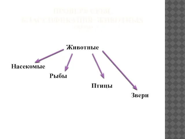 Проверь себя. Классификация животных (схема) Животные Насекомые Рыбы Птицы Звери