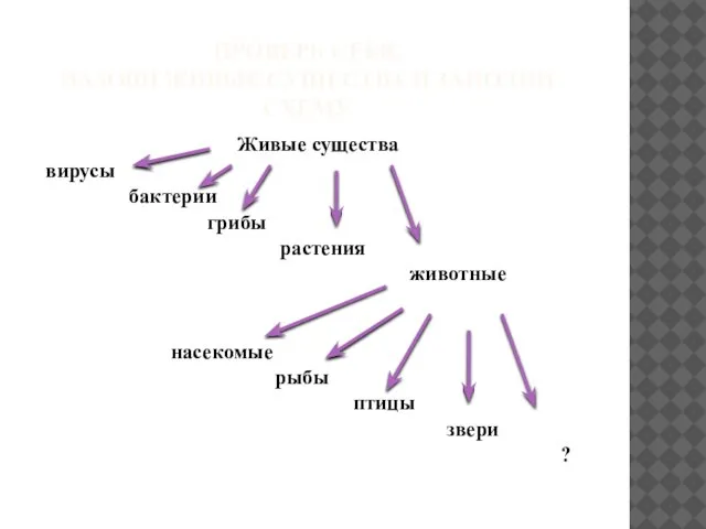 Проверь себя. Назови живые существа и заполни схему Живые существа вирусы бактерии