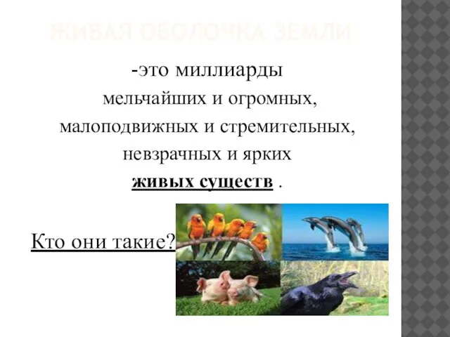 Живая оболочка Земли -это миллиарды мельчайших и огромных, малоподвижных и стремительных, невзрачных