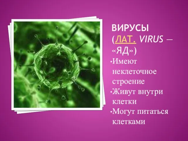 Вирусы (лат. virus — «яд») Имеют неклеточное строение Живут внутри клетки Могут питаться клетками
