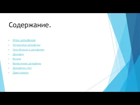 Содержание. Игры дельфинов Загадочные дельфины Чуть больше о дельфинах Дельфин Белуха Выносливые дельфины Дельфины спят Дрессировка