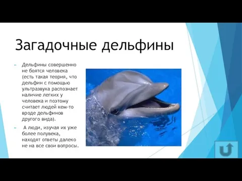 Загадочные дельфины Дельфины совершенно не боятся человека (есть такая теория, что дельфин