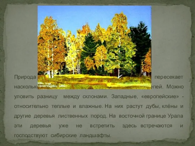Природа Урала разнообразна, ведь цепь гор пересекает насколько природных зон - от