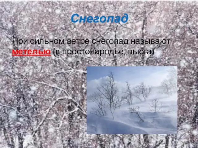 Снегопад При сильном ветре снегопад называют метелью (в простонародье, вьюга)