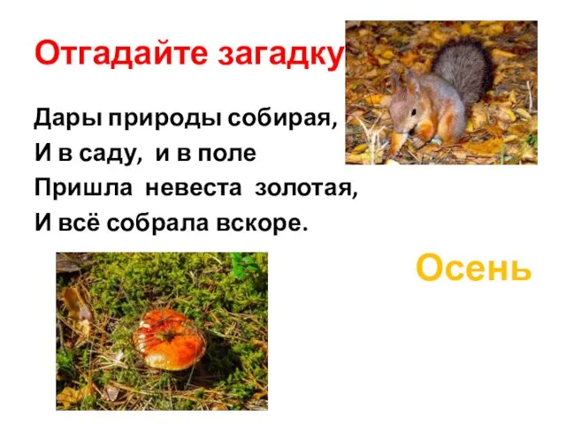 Отгадайте загадку: Дары природы собирая, И в саду, и в поле Пришла