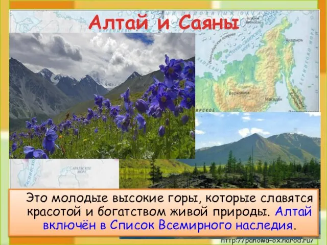 Алтай и Саяны Это молодые высокие горы, которые славятся красотой и богатством