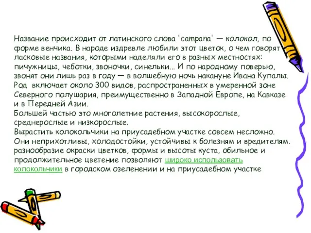 Название происходит от латинского слова 'campana' — колокол, по форме венчика. В