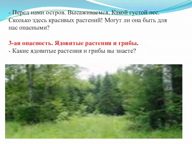 - Перед нами остров. Высаживаемся. Какой густой лес. Сколько здесь красивых растений!