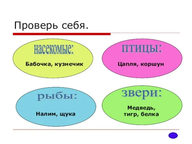 Проверь себя. Бабочка, кузнечик насекомые: рыбы: птицы: звери: Цапля, коршун Налим, щука Медведь, тигр, белка