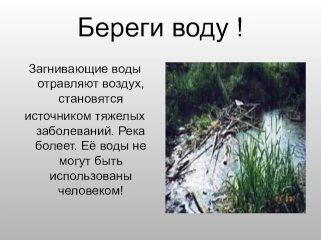 Береги воду ! Загнивающие воды отравляют воздух, становятся источником тяжелых заболеваний. Река