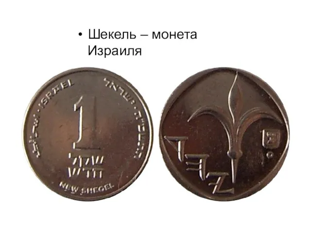 Шекель – монета Израиля