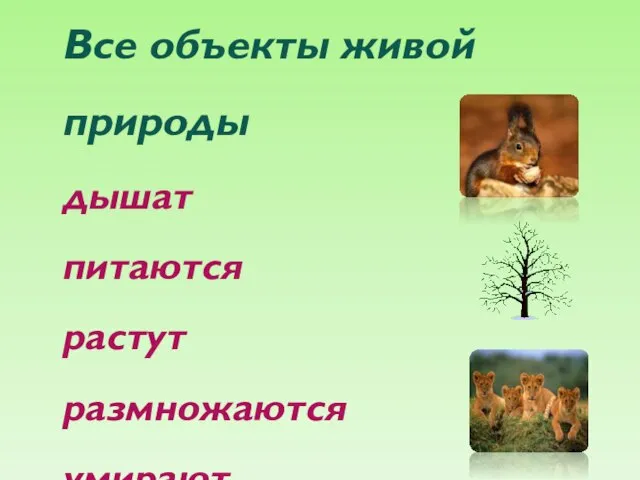 Все объекты живой природы дышат питаются растут размножаются умирают