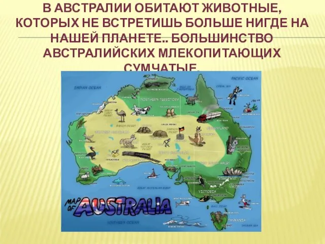 В Австралии обитают животные, которых не встретишь больше нигде на нашей планете.. Большинство австралийских млекопитающих сумчатые.