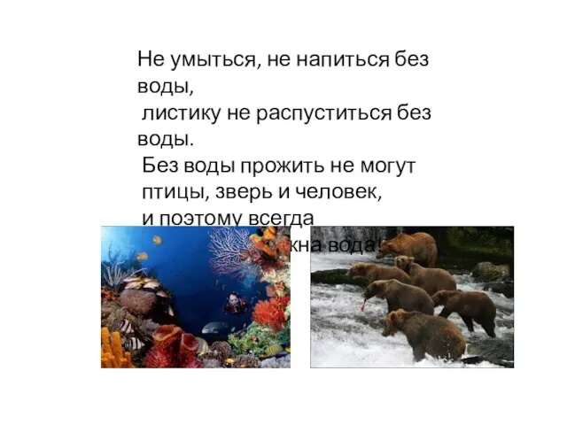 Не умыться, не напиться без воды, листику не распуститься без воды. Без