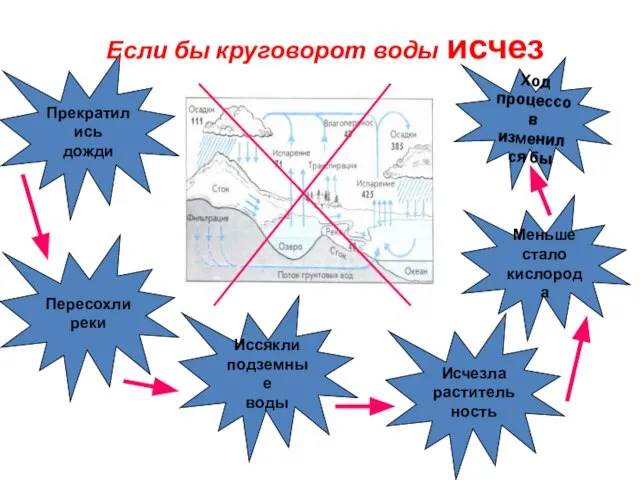 Ход процессов изменился бы Меньше стало кислорода Исчезла растительность Иссякли подземные воды