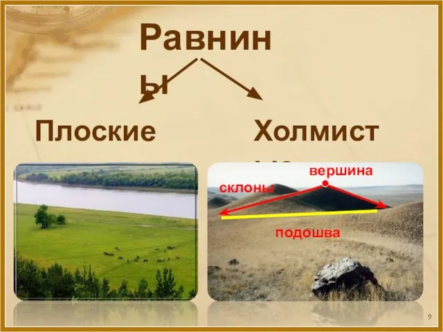 Равнины Плоские Холмистые вершина склоны подошва