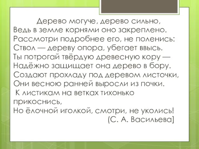 Дерево могуче, дерево сильно, Ведь в земле корнями оно закреплено. Рассмотри подробнее