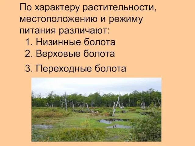 По характеру растительности, местоположению и режиму питания различают: 1. Низинные болота 2.