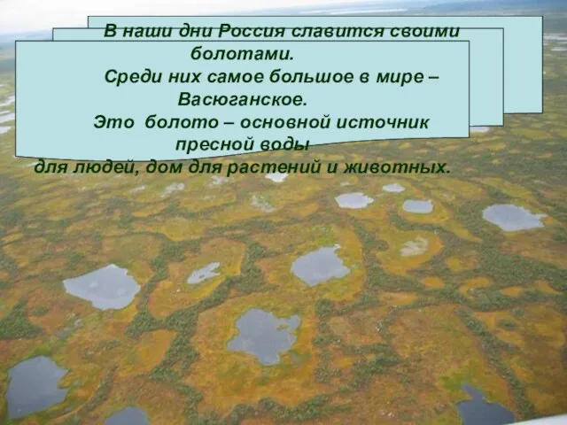 В наши дни Россия славится своими болотами. Среди них самое большое в