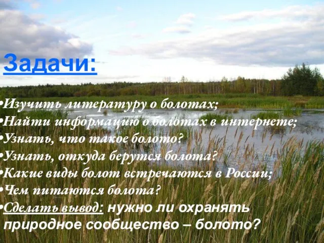 Задачи: Изучить литературу о болотах; Найти информацию о болотах в интернете; Узнать,