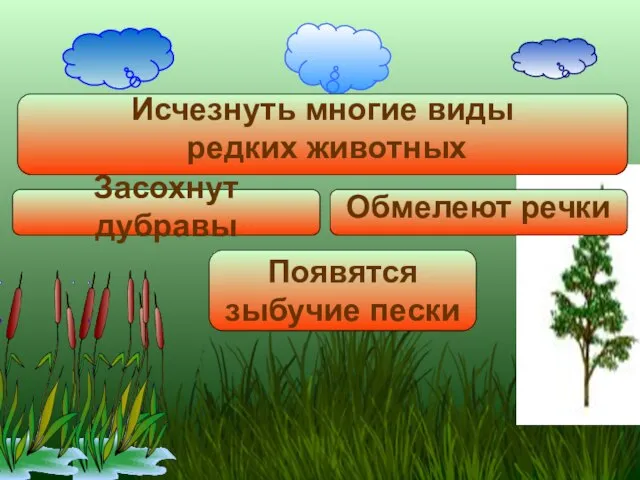 Исчезнуть многие виды редких животных Появятся зыбучие пески Засохнут дубравы Обмелеют речки