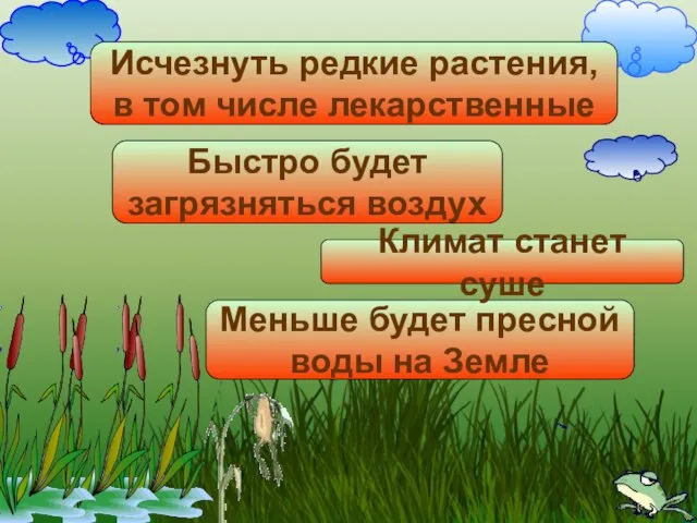 Исчезнуть редкие растения, в том числе лекарственные Меньше будет пресной воды на